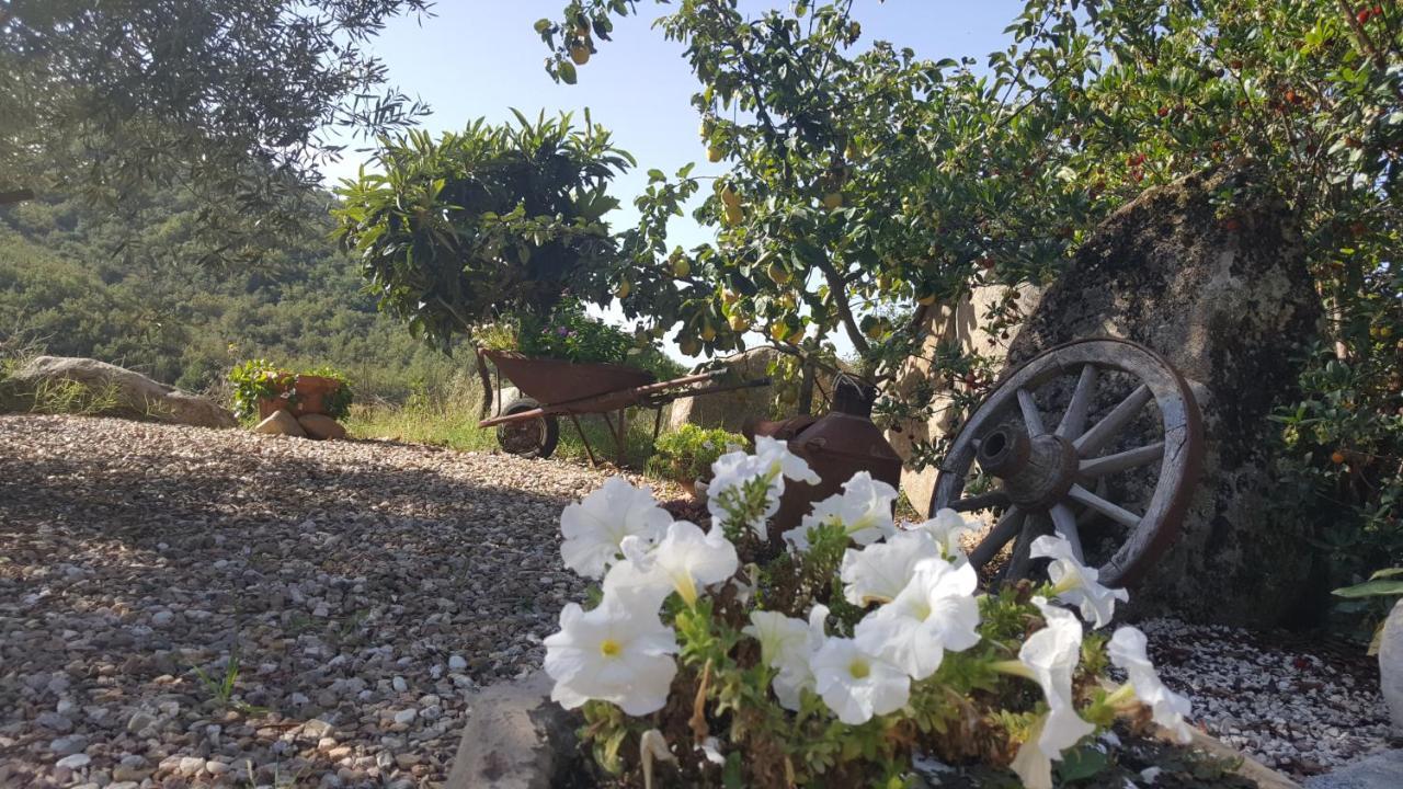 B&B Casa Vacanza Centro Sardegna Sorgono Exterior foto