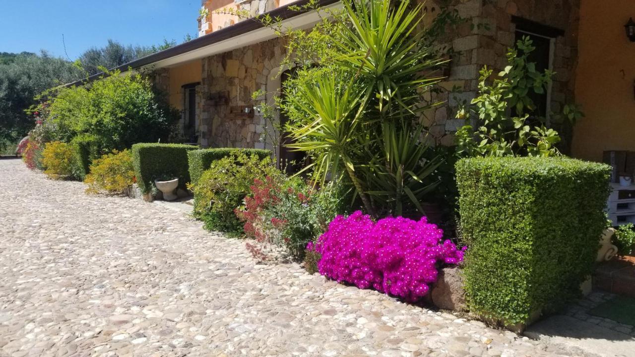 B&B Casa Vacanza Centro Sardegna Sorgono Exterior foto