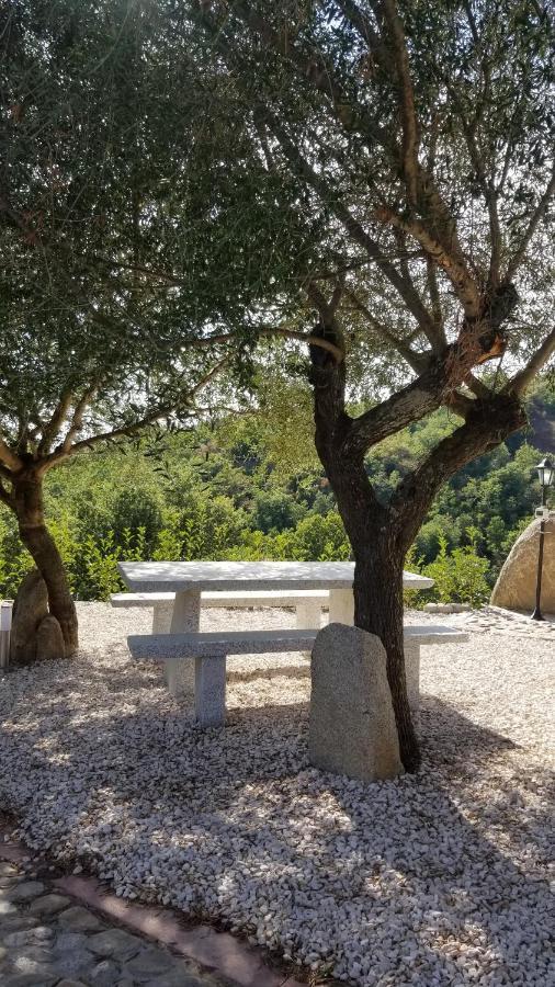 B&B Casa Vacanza Centro Sardegna Sorgono Exterior foto