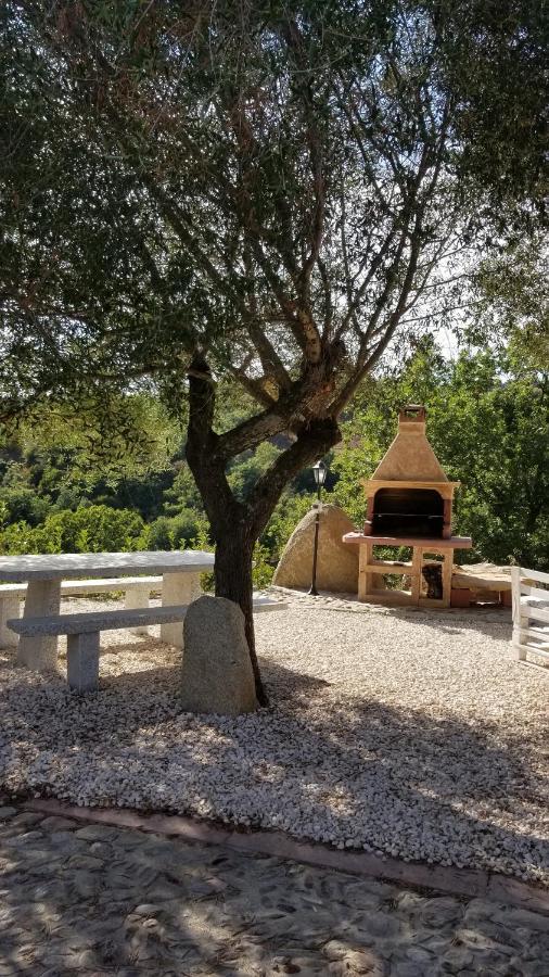 B&B Casa Vacanza Centro Sardegna Sorgono Exterior foto