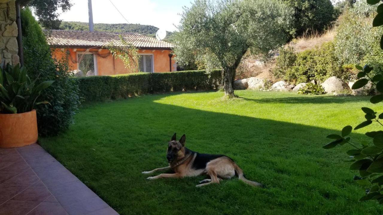 B&B Casa Vacanza Centro Sardegna Sorgono Exterior foto